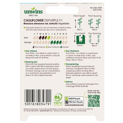 Cauliflower Depurple F1