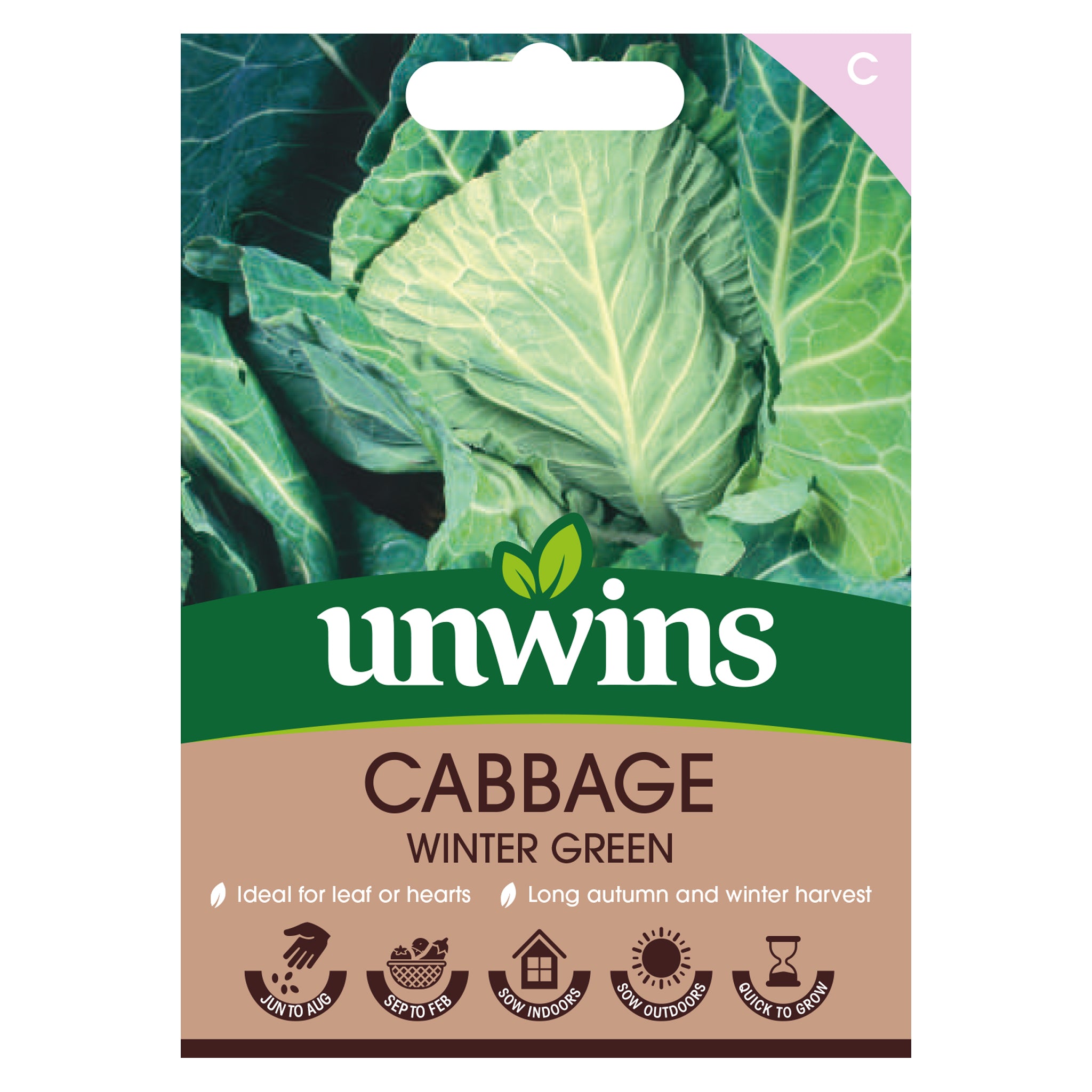 Cabbage (Spring Greens) Winter Special