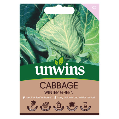 Cabbage (Spring Greens) Winter Special