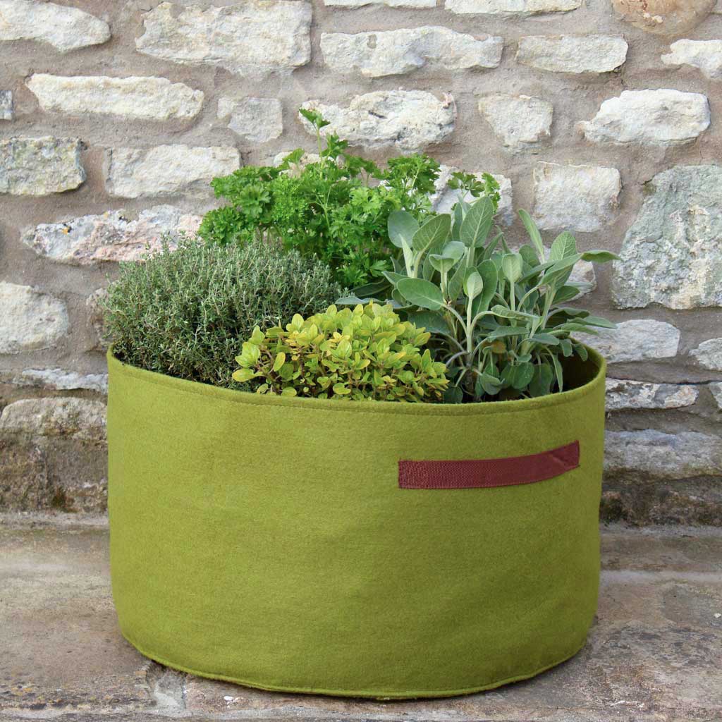 Haxnicks Vigoroot Planter