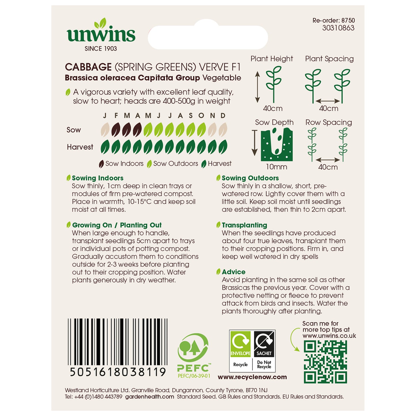 Cabbage (Spring Greens) Verve F1