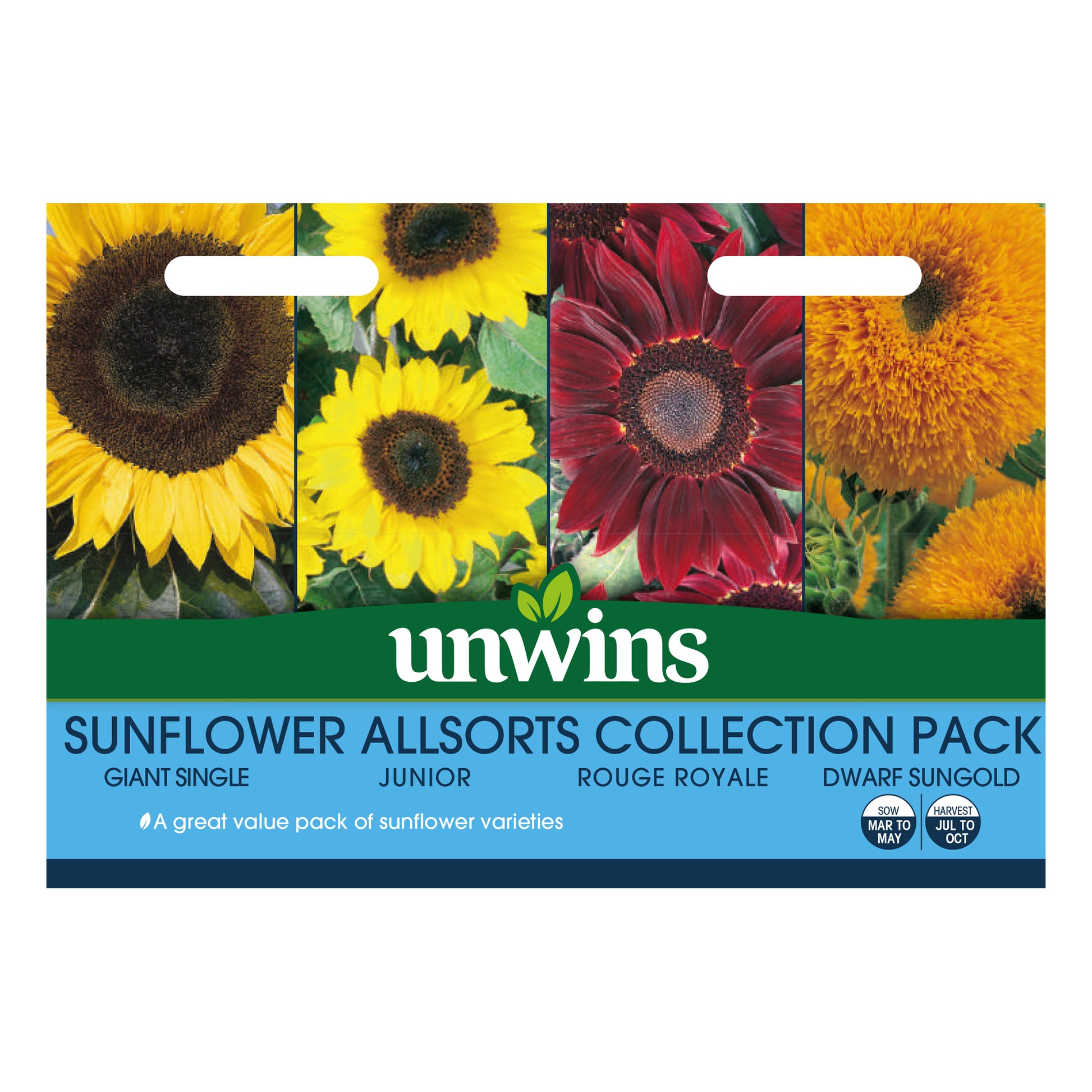 Sunflower Allsorts Collection Pack