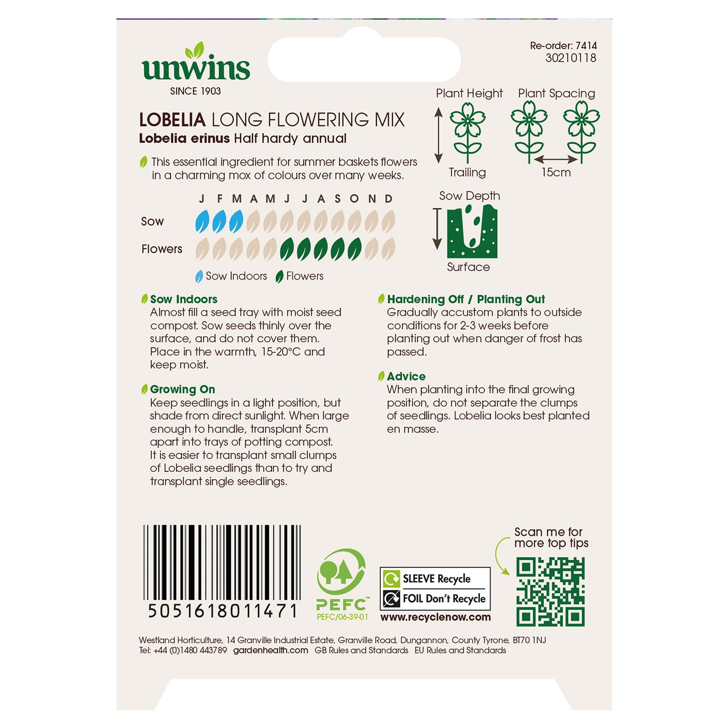 Lobelia Long Flowering Mixed (Trailing)