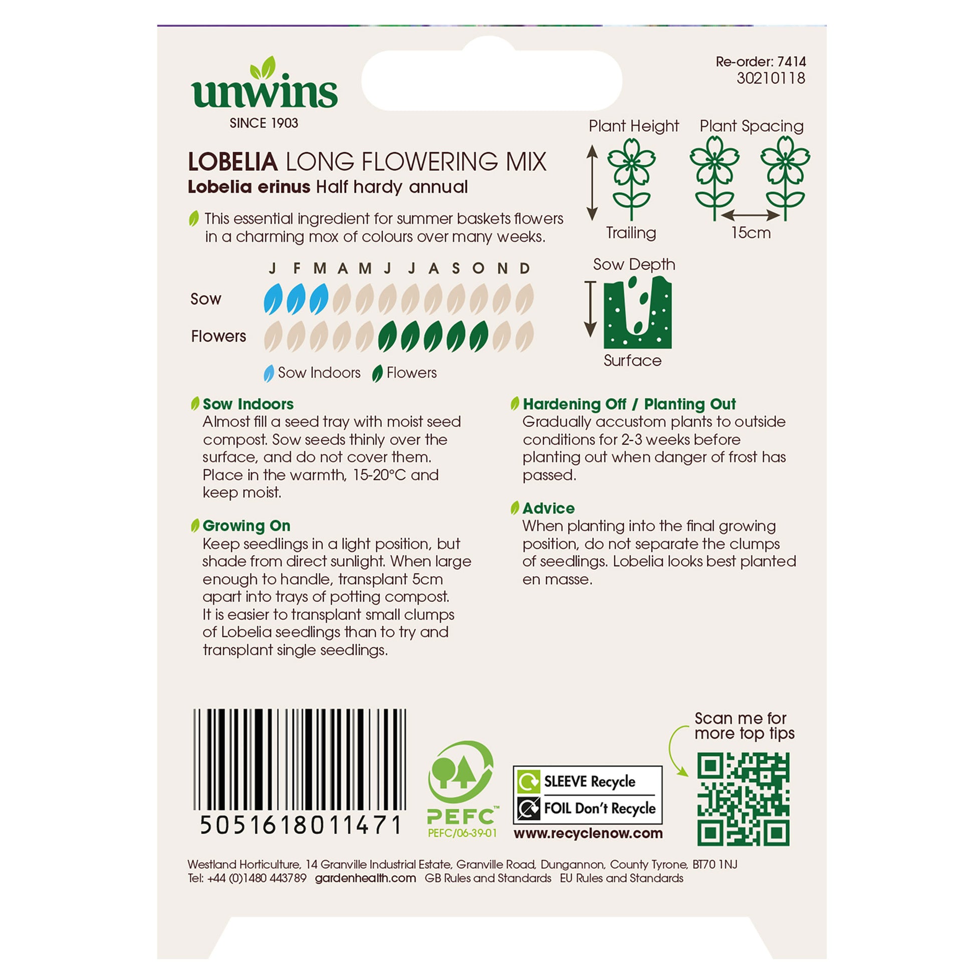 Lobelia Long Flowering Mixed (Trailing)