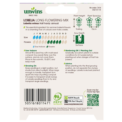 Lobelia Long Flowering Mixed (Trailing)