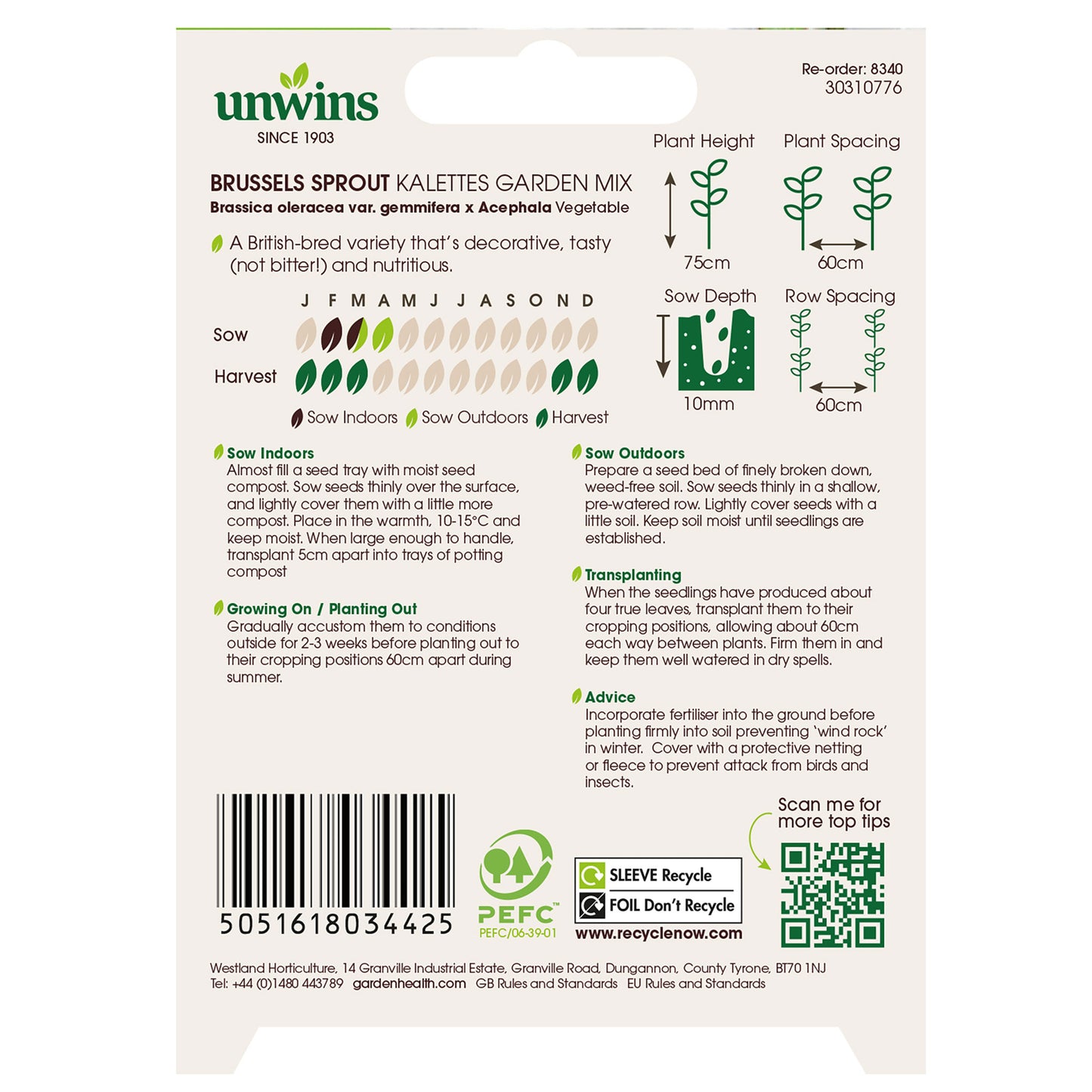 Brussels Sprout Kalettes Garden Mix