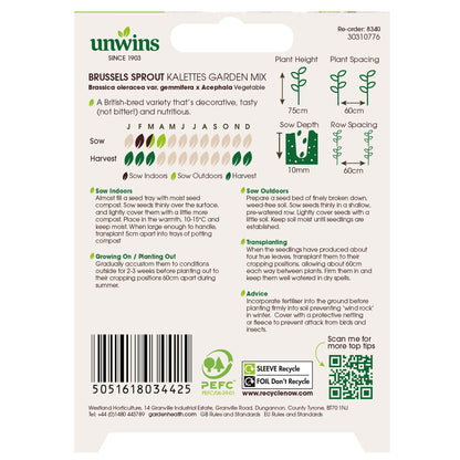 Brussels Sprout Kalettes Garden Mix