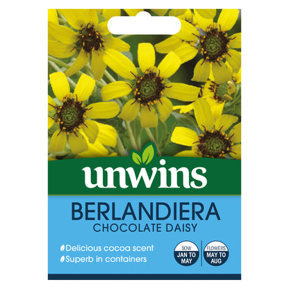 Berlandiera Chocolate Daisy