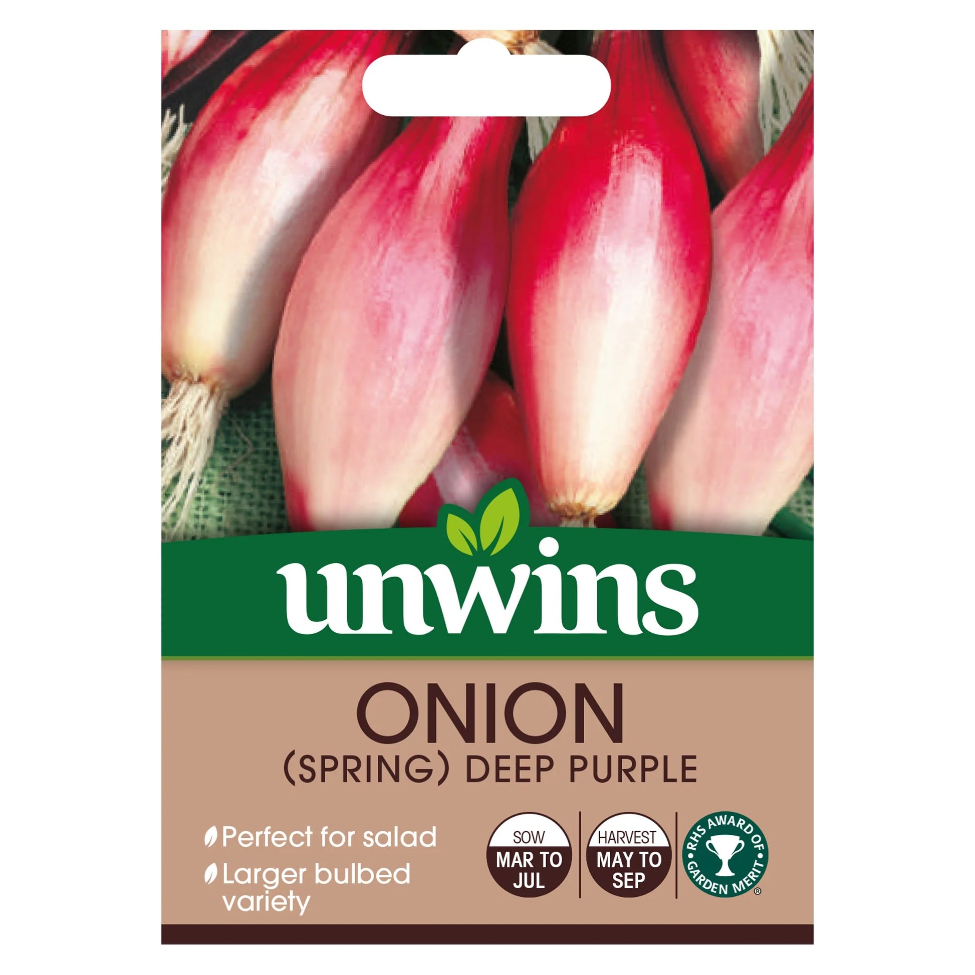 Onion Spring Deep Purple Vegetable
