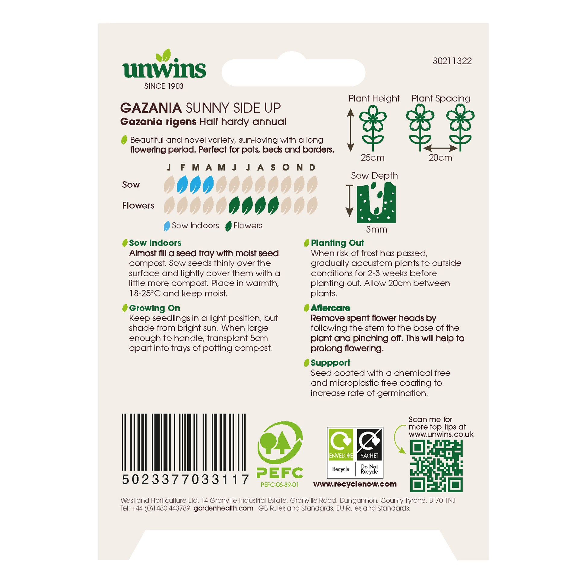 Gazania Sunny Side Up