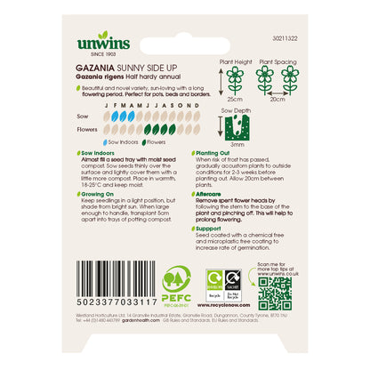 Gazania Sunny Side Up