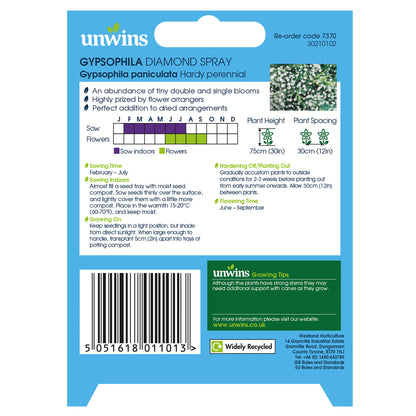 Gypsophila Diamond Spray