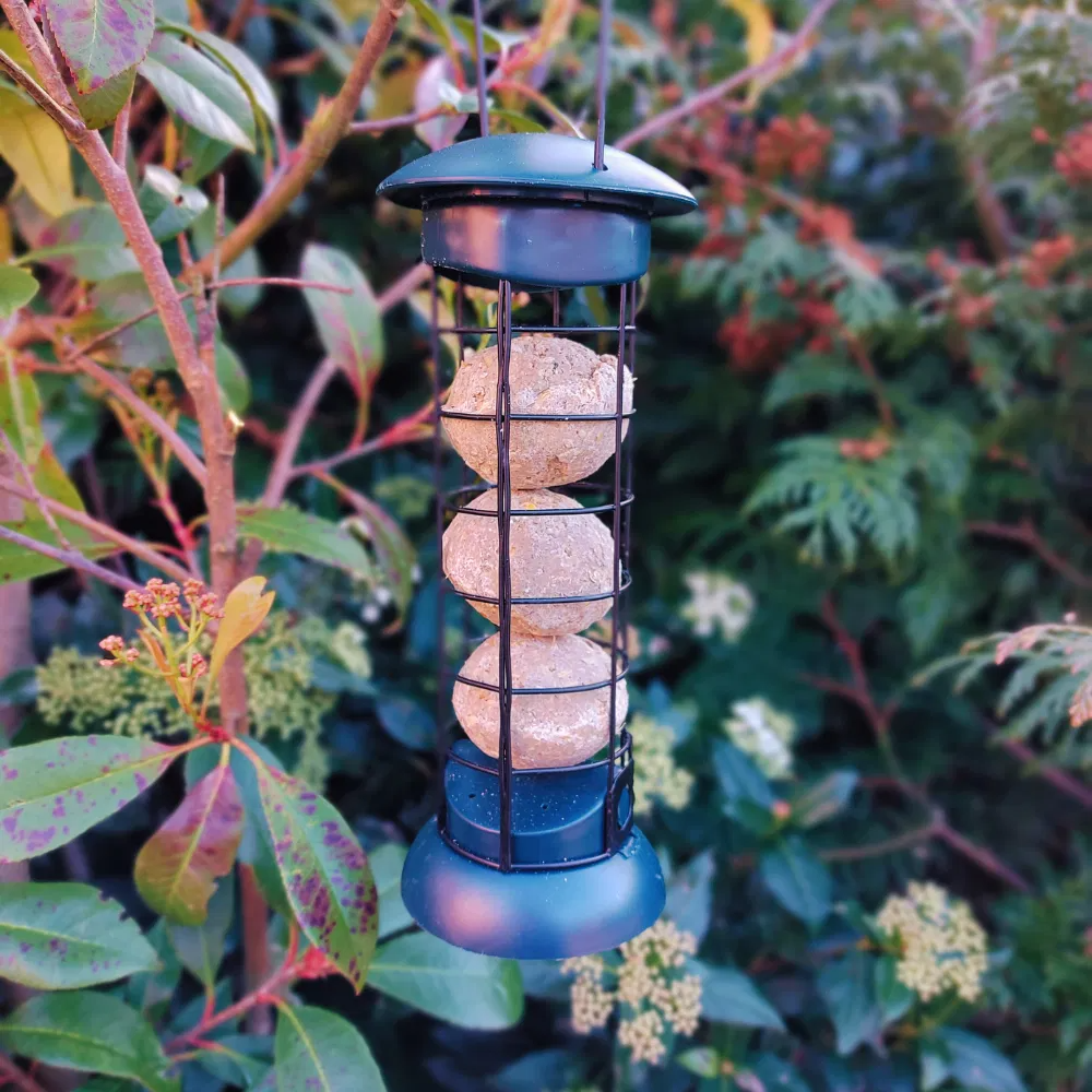 Copdock Mill Easy Fill & Clean Suet Ball Feeder 102g
