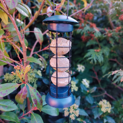 Copdock Mill Easy Fill & Clean Suet Ball Feeder 102g