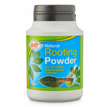 Doff Natural Rooting Powder - 75g