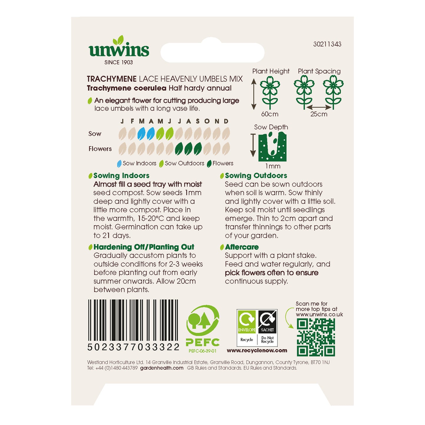 Trachymene Lace Heavenly Umbels Mix