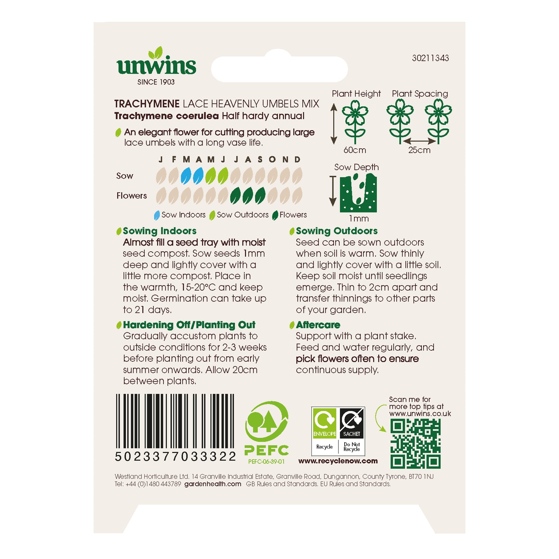 Trachymene Lace Heavenly Umbels Mix