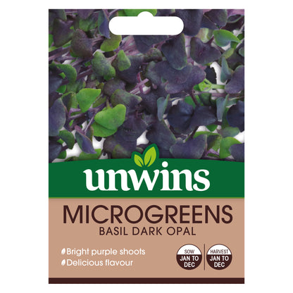 MicroGreens Basil Dark Opal