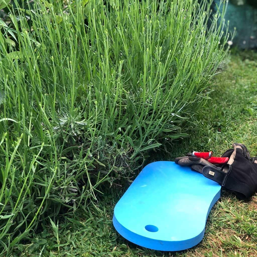 Growers Choice Garden Kneeling Mat