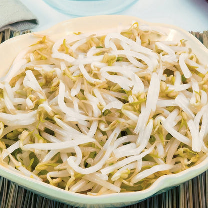 Sprouting Seeds Mung Bean