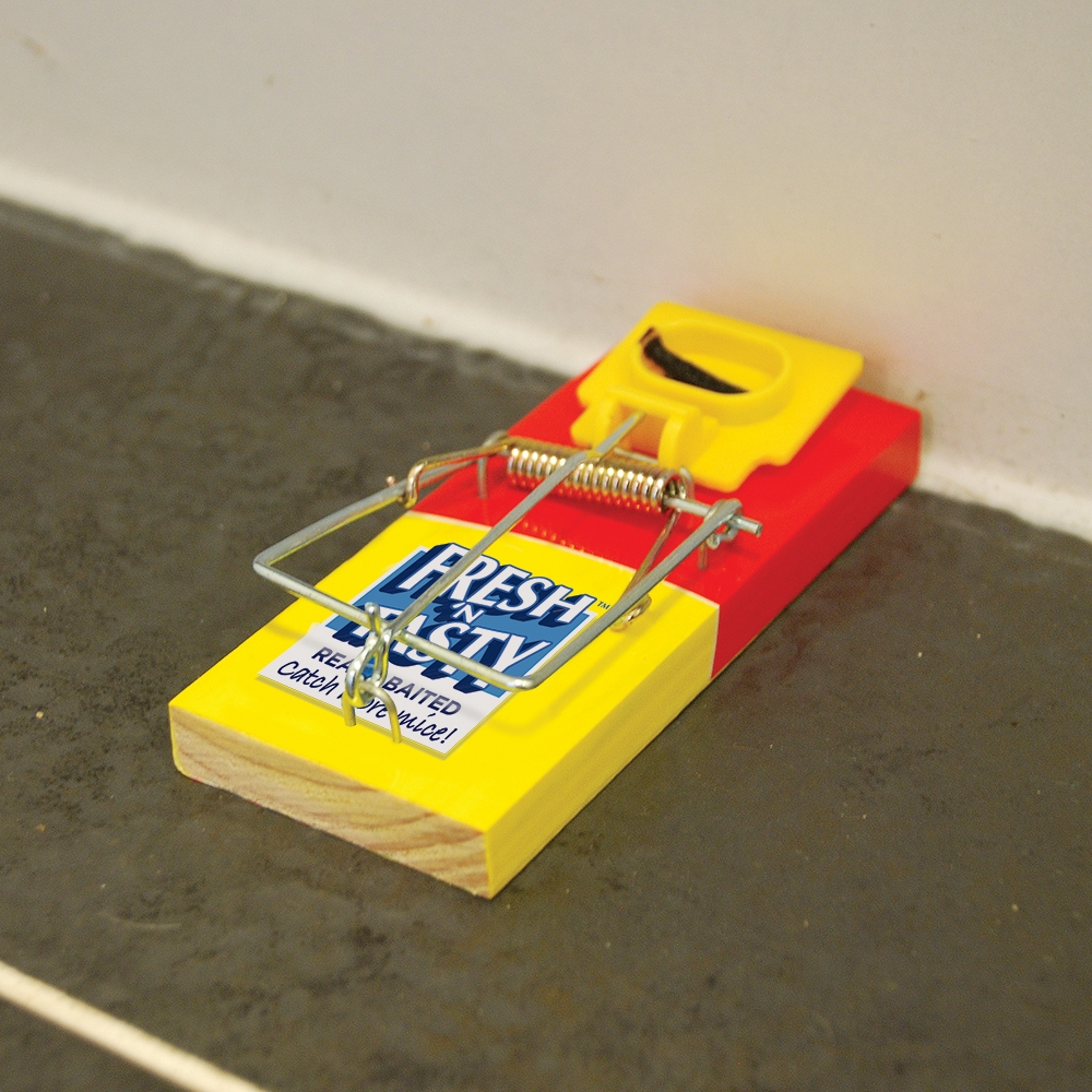 The Big Cheese Fresh Baited Mouse Trap - Twinpack