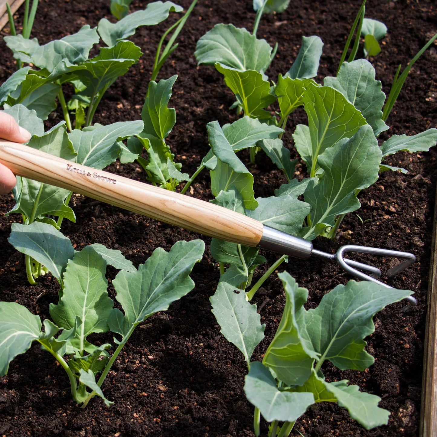 Kent & Stowe Stainless Steel Border 3 Prong Cultivator