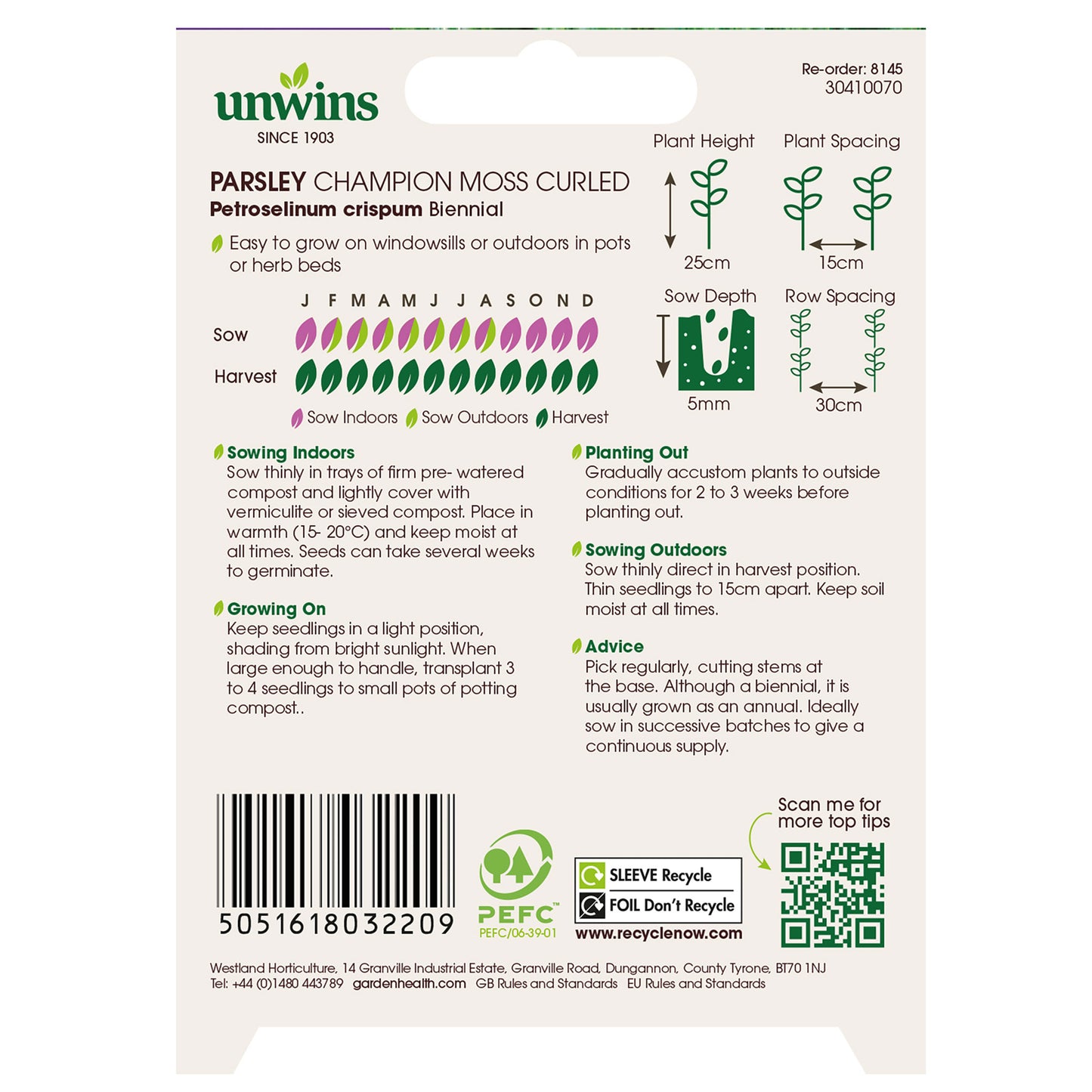 Herb Parsley Champion Moss Curled