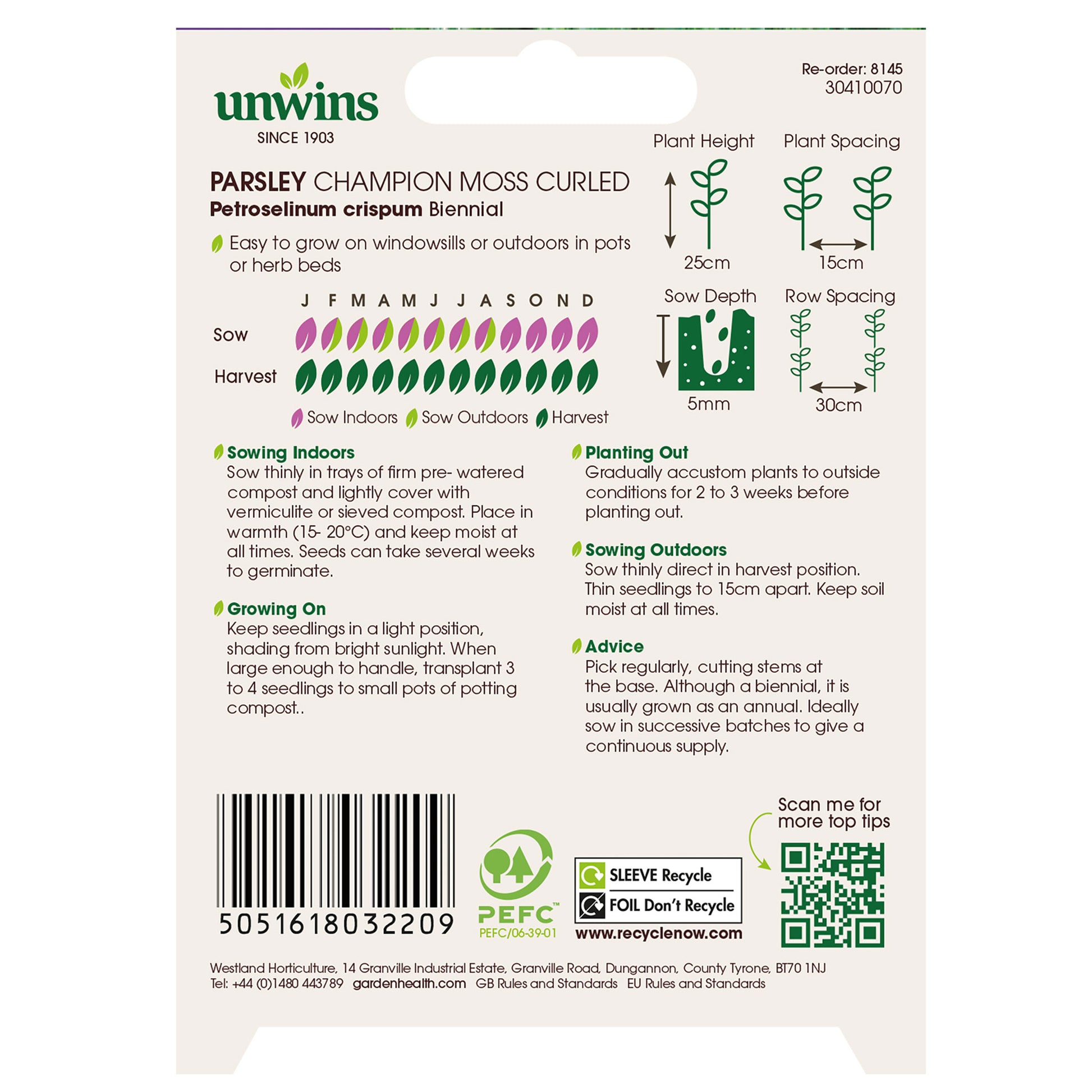 Herb Parsley Champion Moss Curled