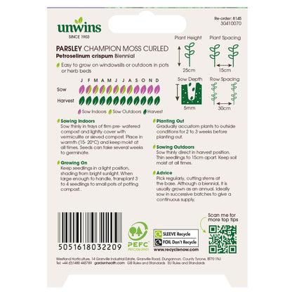 Herb Parsley Champion Moss Curled