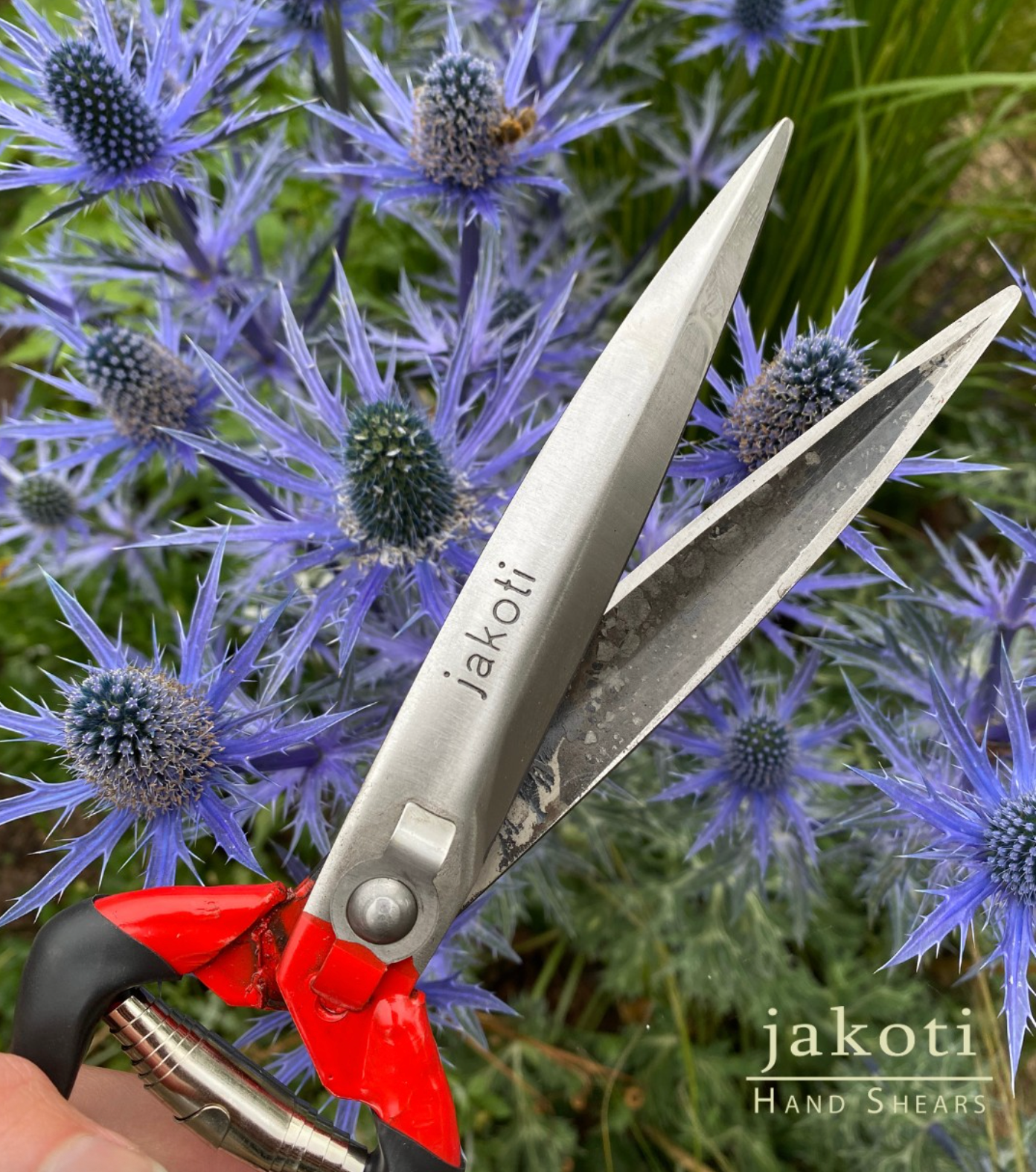 JAKOTI Hand Shears (L30cm) with Handmade Leather Holster. One Handed Garden Shears for Grass, Topiary & Pruning. Sheep Shears for Dagging, Shearing & Trimming. 15cm Steel Blades. 