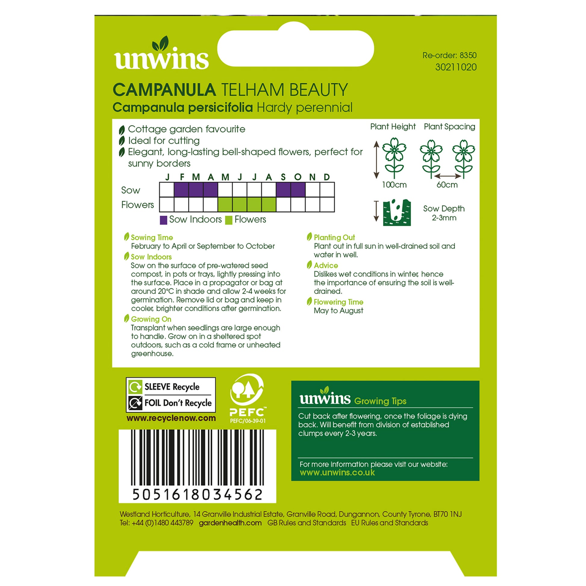 NH Campanula Telham Beauty