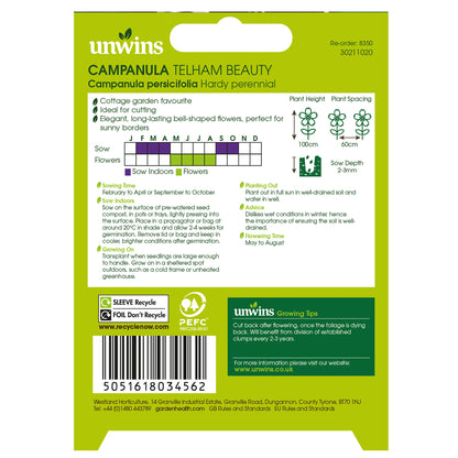 NH Campanula Telham Beauty