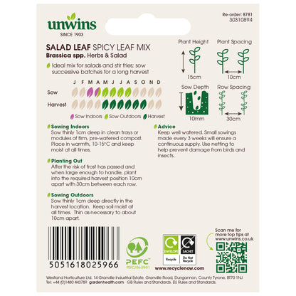 Salad Leaf Spicy Mix