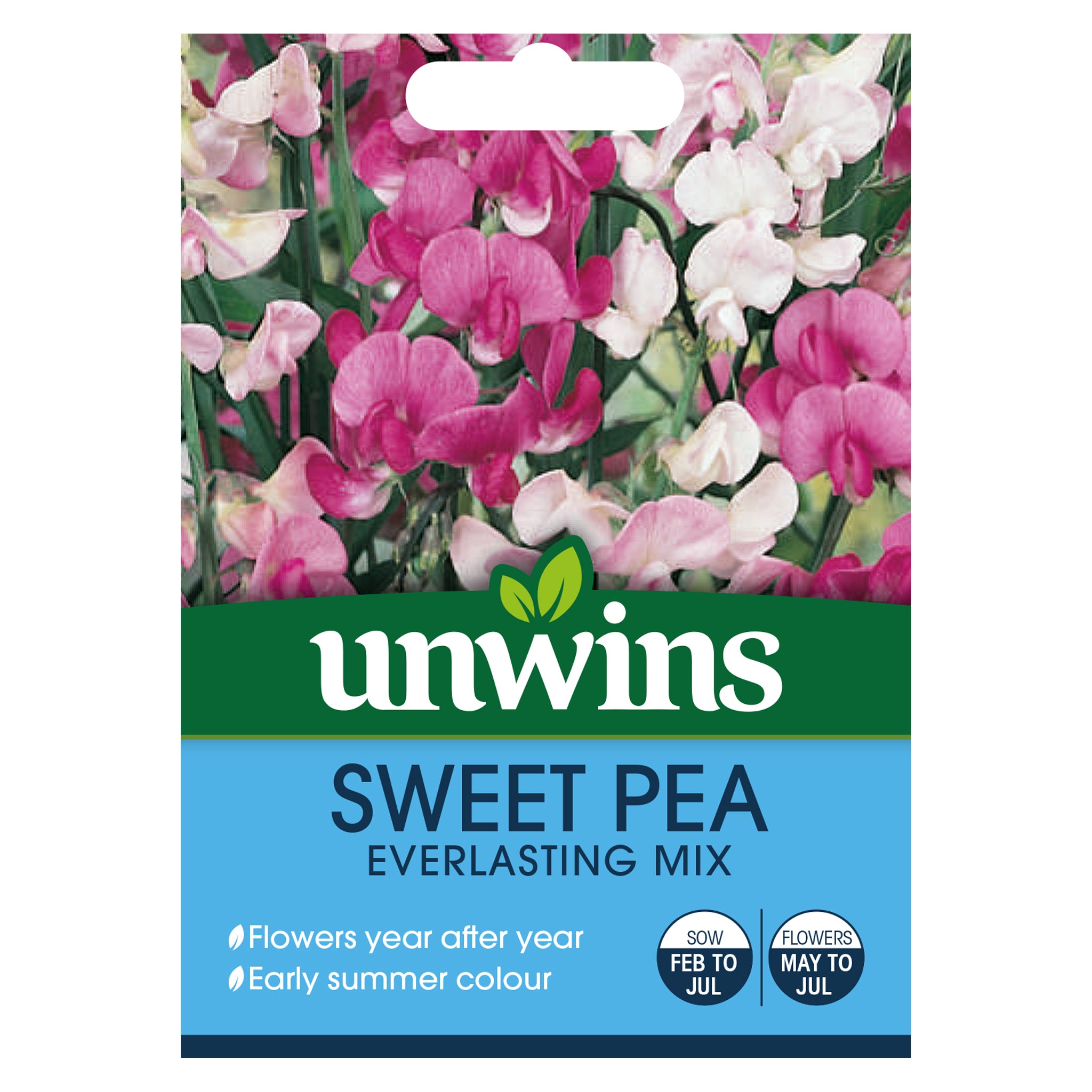 Sweet Pea Everlasting Mix
