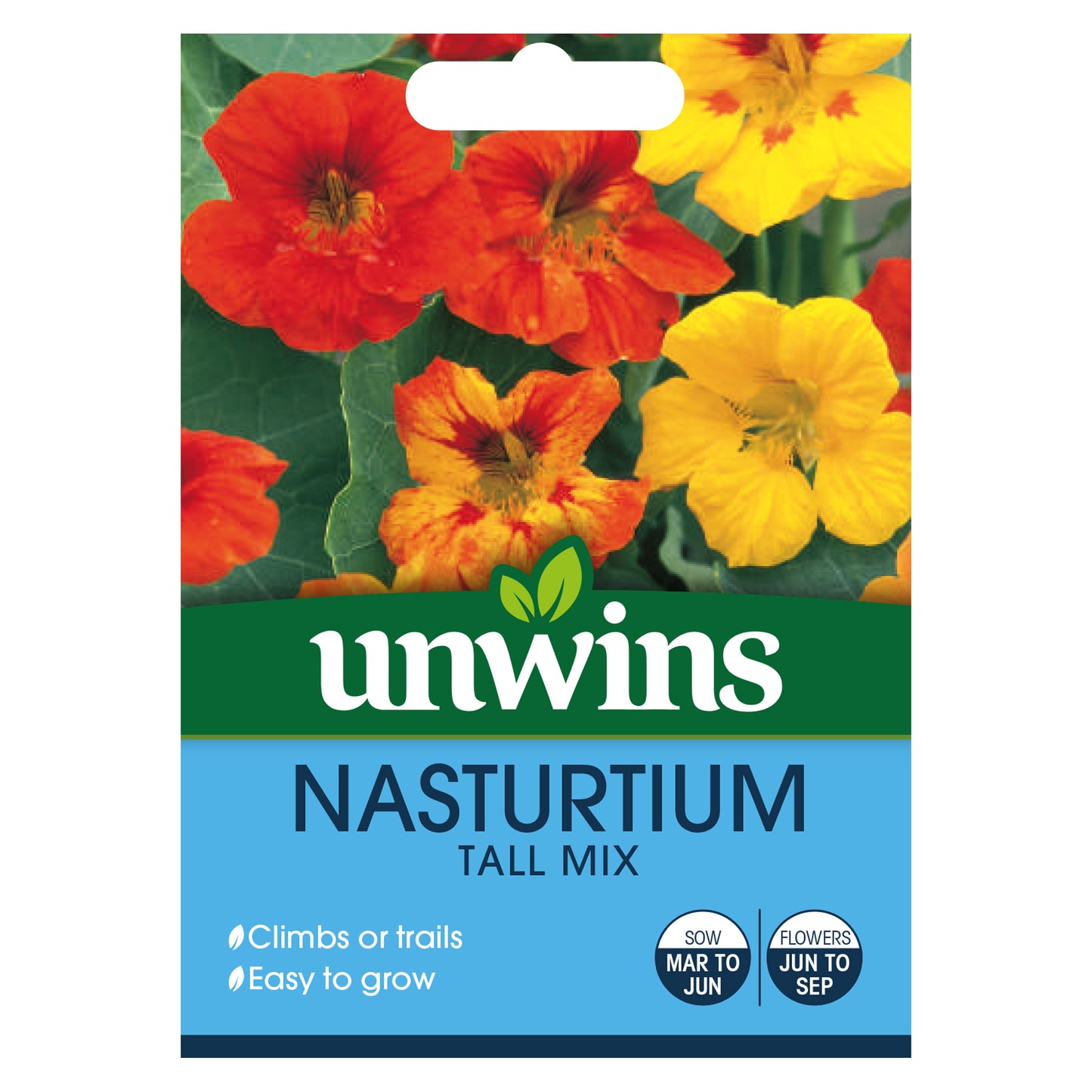 Nasturtium Tall Mix