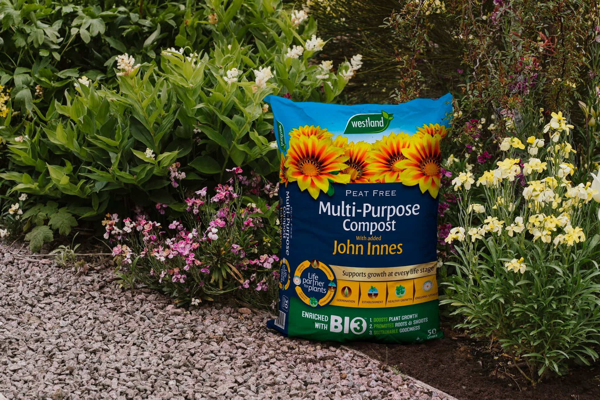 Westland Multi Purpose Compost with John Innes Peat Free