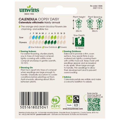 Calendula Oopsy Daisy