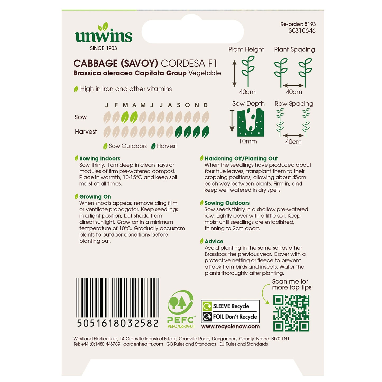 Cabbage (Savoy) Cordesa F1