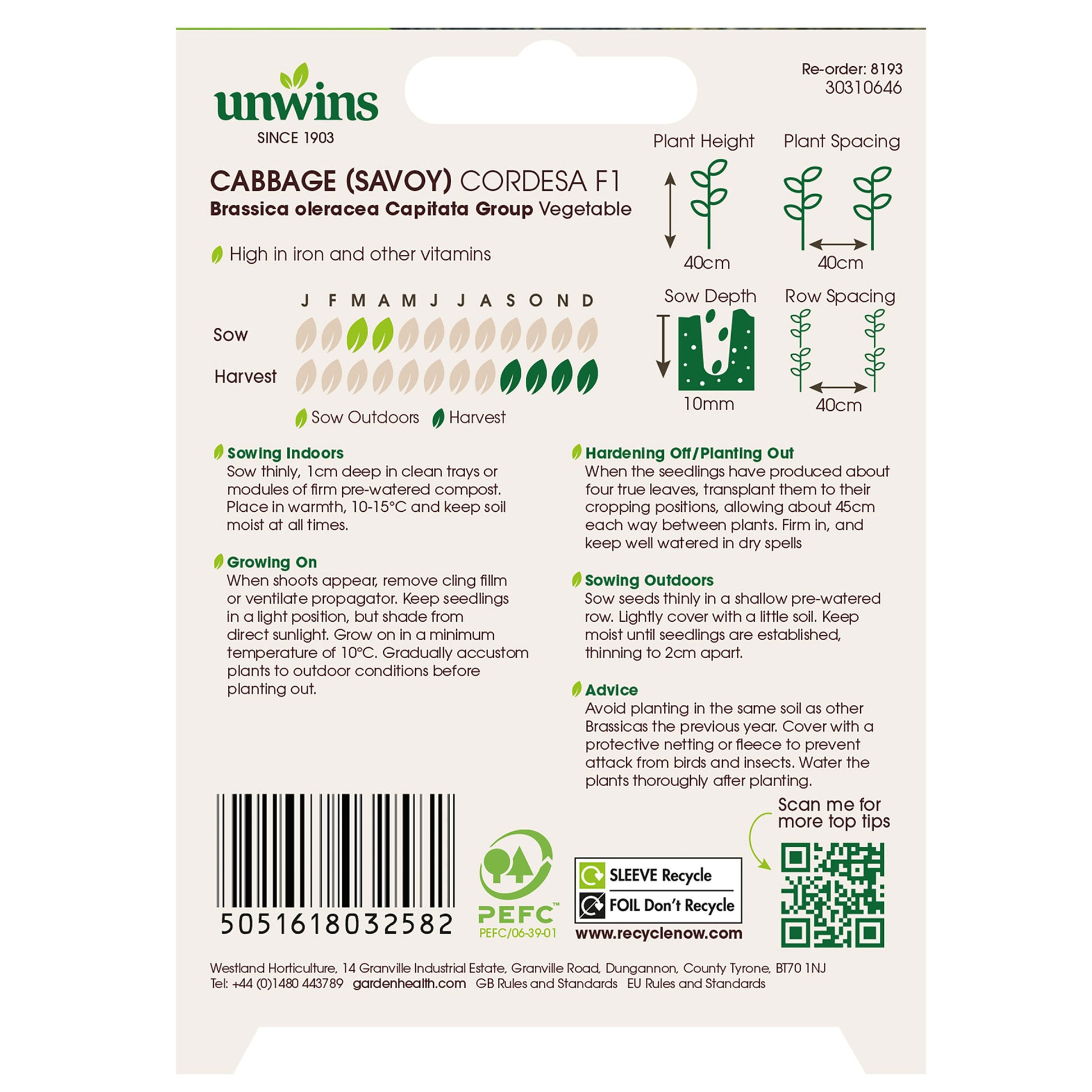 Cabbage (Savoy) Cordesa F1