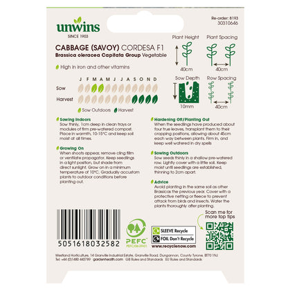 Cabbage (Savoy) Cordesa F1