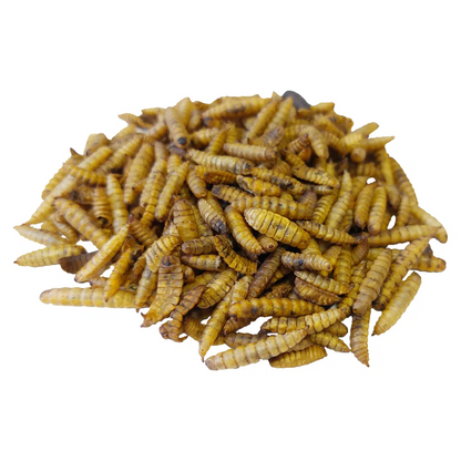 Copdock Mill Calci Boost Grubs Tubs 1kg