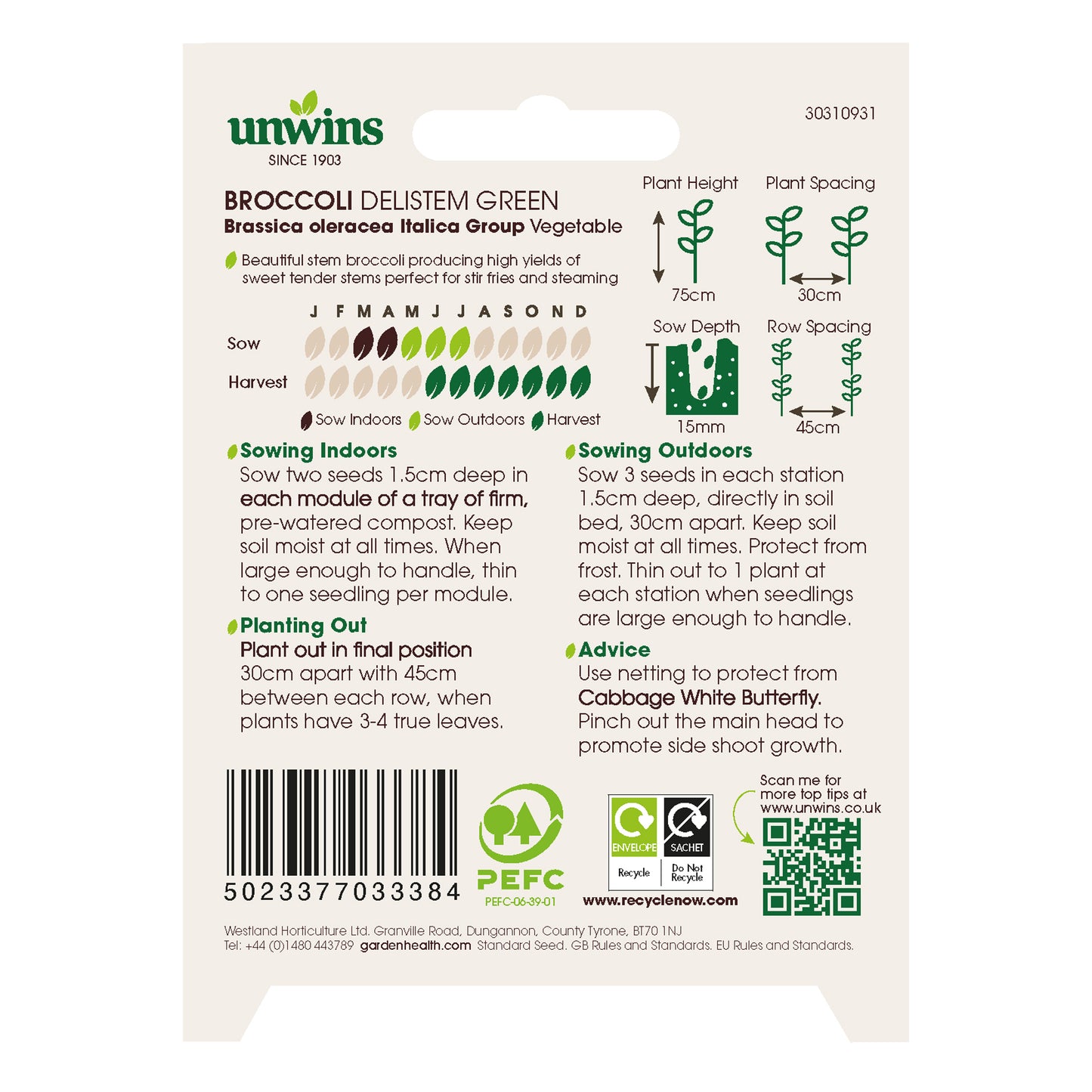 Broccoli Delistem Green
