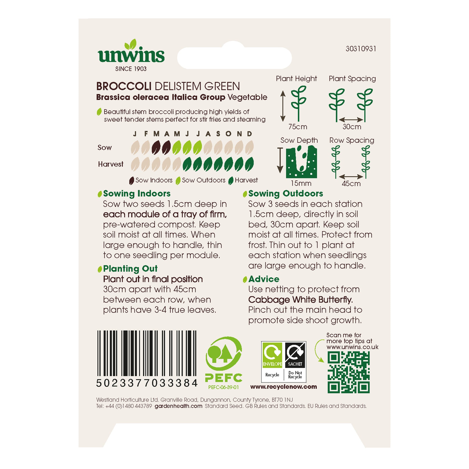 Broccoli Delistem Green