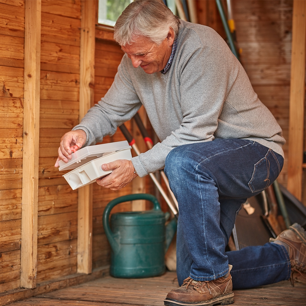 The Big Cheese Ready-Baited Rat Trap Kit