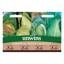 Cabbage All Season Collection Pack
