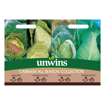 Cabbage All Season Collection Pack