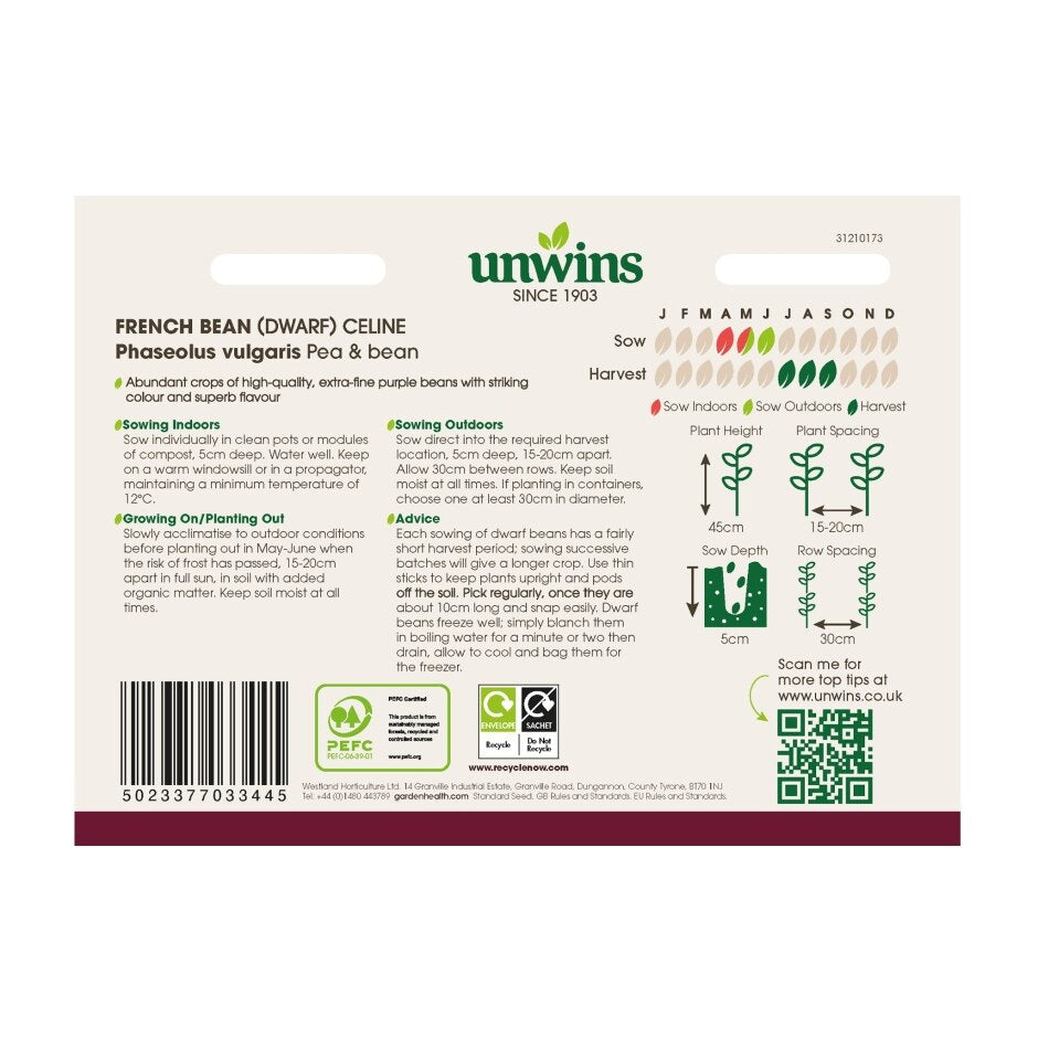 French Bean (Dwarf) Celine