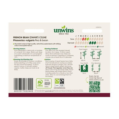 French Bean (Dwarf) Celine