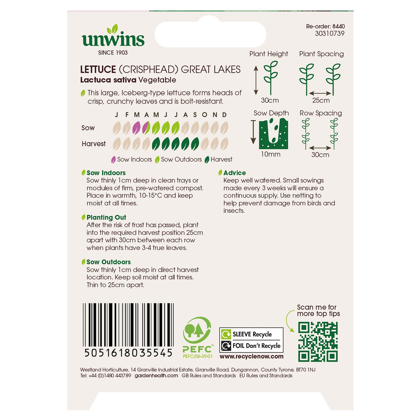 Lettuce (Iceberg) Great Lakes