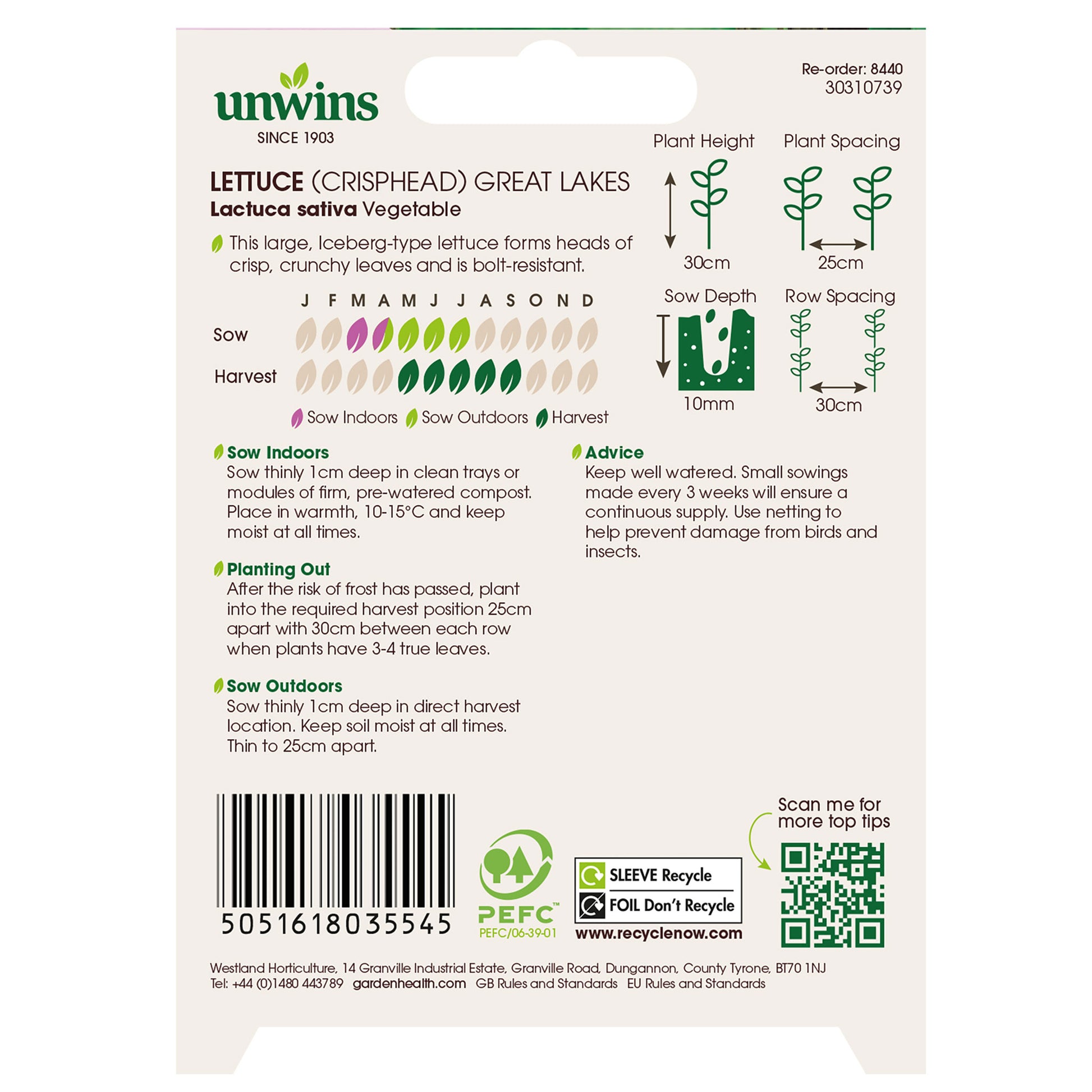 Lettuce (Iceberg) Great Lakes